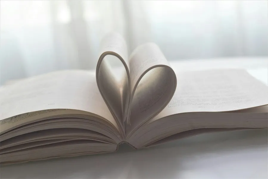 love books guide